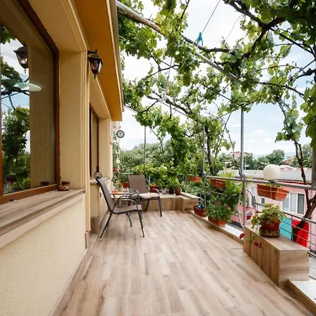 Green Terrace Studio Top Center *