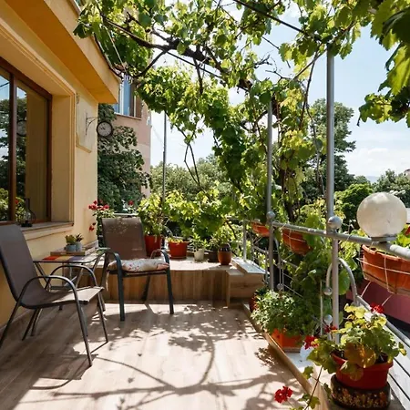 Terrace Center Apartment