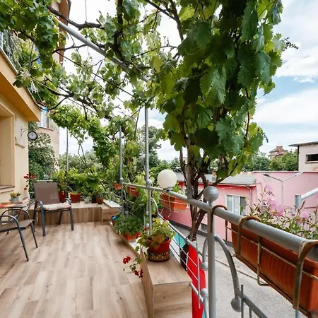 아파트 Cozy Terrace 플로브디프